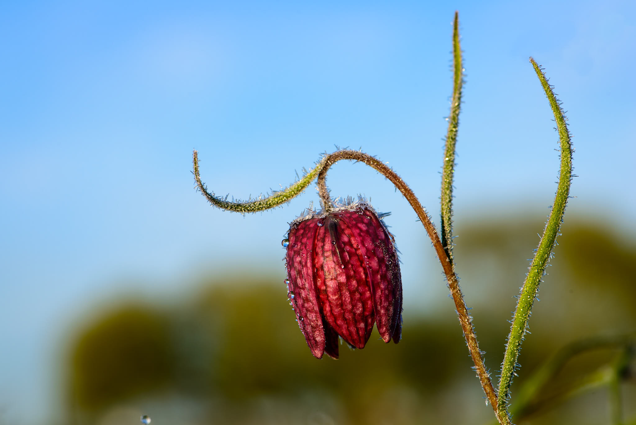 2015 04 28   22741 Bearbeitet